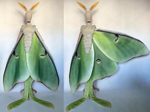 Luna Moth Costume Fantasy Cape Hand Painted Fantasy Wings - Etsy