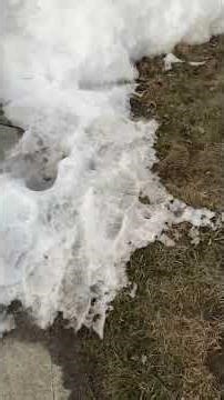 Walking to the library part 2 #subscribe #letstalk