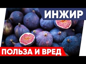 Инжир - Польза и Вред