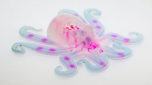 The first fully soft autonomous robot is an octopus