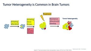 NGS in Glioblastoma: Clinically Relevant Genomics