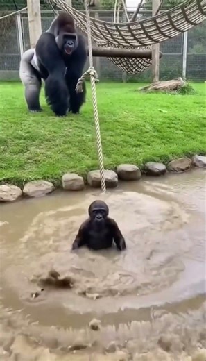 Fastest Zoo Fail You’ll See Today 😭🔥