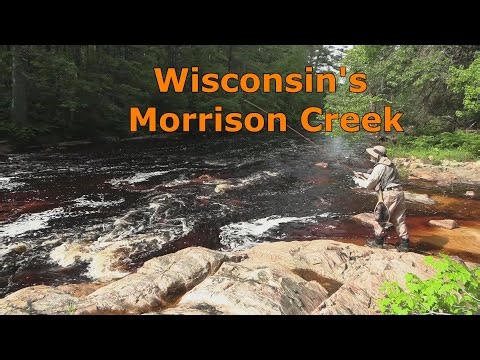 Morrison & Mollies Creek, Wisconsin