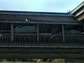 [WOT]1W1输出特级268