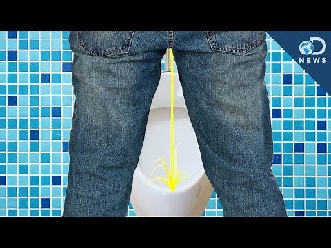The Science of Pee Splashback