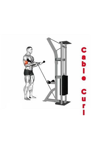 This Cable Curl Gives You INSANE Biceps Pump #workout #motivation #abs #shoulder #coreworkout #chest