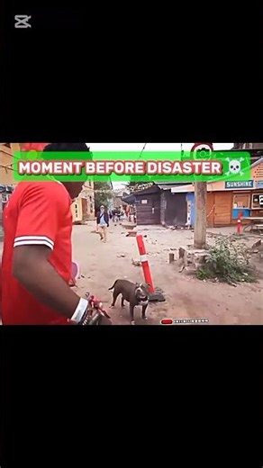 Ishowspeed🙂COOKED!🤌🏻like his dog🐕#ishowspeed#dog#zyrox