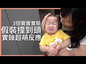 假裝撞到頭寶寶會有什麼反應？不滿一歲的嬰兒知道鏡子裡的是自己嗎？三個可愛爆擊的寶寶實驗｜豬豬隊友 Scott & Wendy