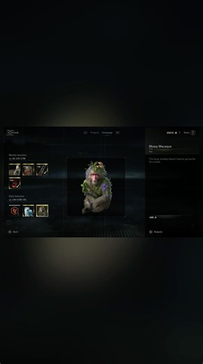 Reda’s Daily Opal Teaser & Shadows Daily Exchange 27/4/26 ACValhalla & ACShadows