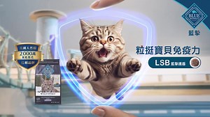 為寶貝，精挑細選！ 🇺🇸美國天然糧領導品牌，超過2千萬美國家庭信賴品牌 👉 https://www.bluebuffalopet.com.tw/pages/about-product ☑️藍摯專家研發團隊 為開發對毛孩健康有益且安全的產品 聘請各領域專家，包含👨‍⚕️獸醫師、動物營養專家，食品科學家、品檢專家。 藍摯專家團隊擁有超過50項美國專利🏆 ☑️食安承諾不輕忽 每一包產品必須通過嚴謹的6道品檢程序 從原料來源到成品嚴格把關食品安全 🟤🟡獨家LBS抗氧化顆粒 兩種顆粒，雙拼營養👌 每顆含有牛磺酸，苜蓿，蔓越莓等15種以上富含抗氧化劑成分 🧊使用藍摯獨特低溫技術製作 保留食材中的抗氧化營養 創辦人狗狗Blue因癌症過世後 啟發創辦人專注於抗氧化營養研究 💞長期資助寵物癌症治療研究及醫療救護💞 愛的極致，就是藍摯 #bluebuffalo | Blue Buffalo