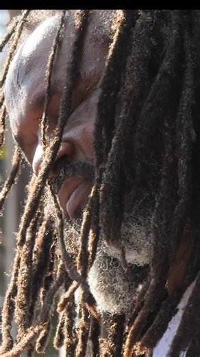 20K views · 880 reactions |  Legacy Lives On!  Watch Andrew Tosh pay tribute to his father Peter Tosh by signing the legendary 'Bush Doctor' anthem in Amsterdam  Captured by Reggae live concerts ❤️ #ReggaeRoyalty #AndrewTosh #BushDoctor #PeterTosh #ReggaeLakeFestival #LiveReggae #RootsAndCulture #MusicLegacy #AmsterdamVibes | Reggae-agenda | Facebook