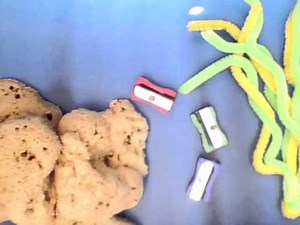 Under The Sea: a stop motion animation