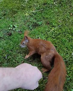 79K views · 6.6K reactions | It's time, time for another epic...