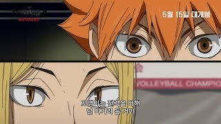 극장판 하이큐!! 쓰레기장의 결전 영화 스트리밍