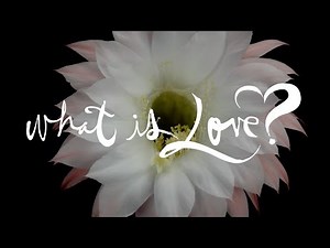 What is Love?