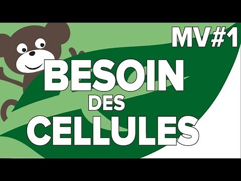 Besoin des Cellules MV #1- SVT Collège-Mathrix