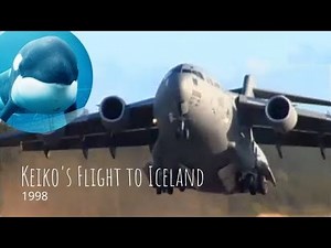 Keiko's Legacy - Episode Two: Keiko's Flight to Iceland