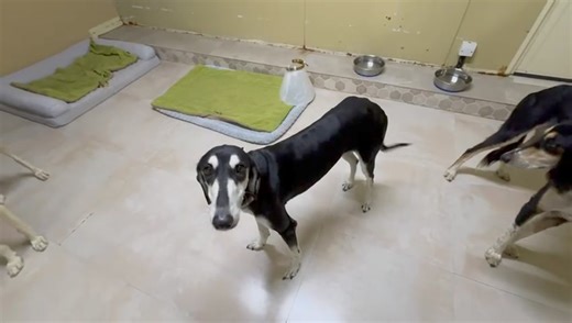 17K views · 304 reactions | Just wanted to update on our recent...