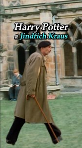 Harry Potter a Jindřich Kraus😁 #harrypotter #ulicnikshadankou #pelisky
