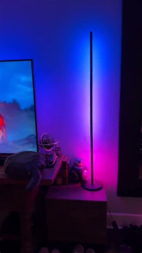 You have to have these! #amazonfinds #standinglight #rgbledlight #shorts #youtubeshorts