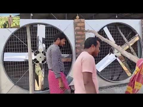 Hard Working Concrete AC Poultry Farm Business 👷🐔 | Success Story 2025