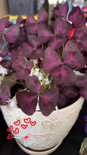 Stephanie Zuzworsky Bennett on Reels