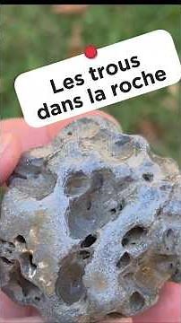 Les roches pleines de trous #roche #mineraux #carbonate #dissolution