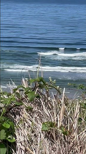 Route 101 on the Pacific Coast Highway in Oregon