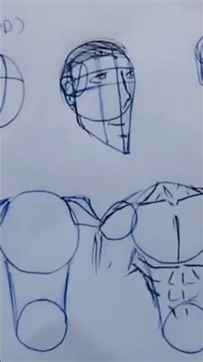 Learn basic ANATOMY #anatomy #easydrawing