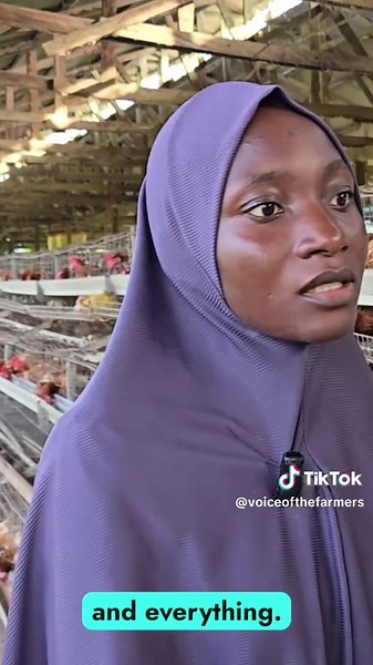 Poultry Farming Daily Routine Insights