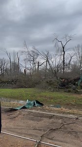 208K views · 1.8K reactions | Storms left behind considerable damage in Grenada County, and law enforcement and crews are working to survey the aftermath. : Alexa Hodges Send us your weather photos/ videos: https://www.actionnews5.com/community/user-content/ https://www.actionnews5.com/2025/03/15/severe-storms-cause-damage-injuries-grenada-county-area-sheriffs-office-says/ | Action News 5 | Facebook