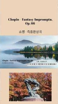 쇼팽 - 즉흥환상곡 #music