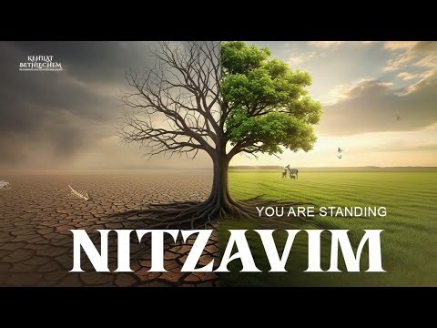 Torah Portion | Nitzavim - נִצָּבִים | You Are Standing