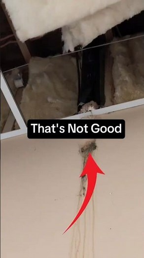 Air Conditioner Line Set Damage – How to Prevent Costly Repairs! #hvac