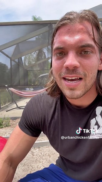 urbanchickenfarmer on TikTok