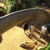 Calling all dino fans! Go on a one-of-a-kind prehistoric adventure this spring at presents Jurassic Giants. | Houston Zoo