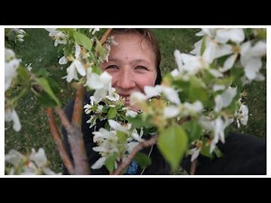 Vlog #58 Do I drive?, about my last name + this was a free week that had rough days