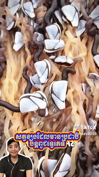 Creative Ideas for USA Inspired Projects