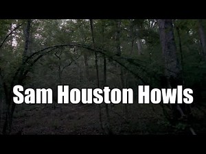 Howls In The Sam Houston National Forest and Sasquatch Exploration
