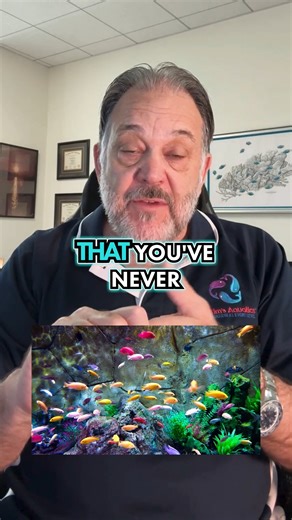 149K views · 1.5K reactions | The DIY Fish Food They Don’t Tell You...