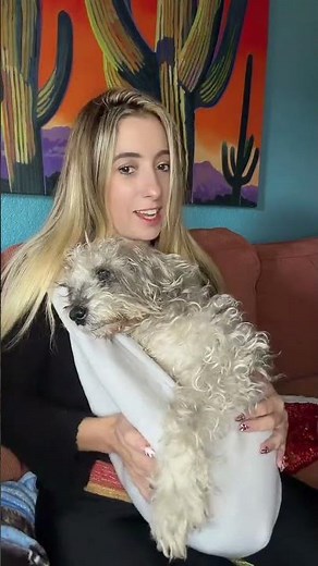 Pet Sling Carrier Review | Safe & Cozy Way to Carry Pets