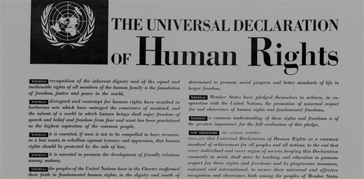 Science is a human right − and its future is enshrined in the Universal Declaration of Human Rights