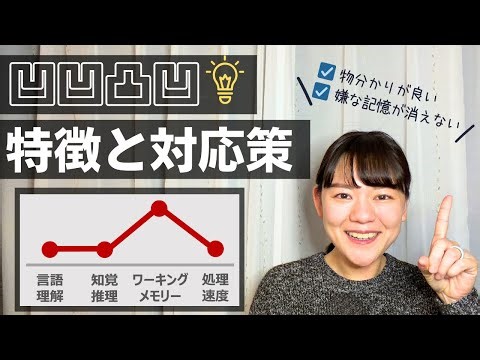 Characteristics and countermeasures for those with high working memory alone [Wechsler Intelligen...