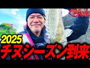 Black porgy season 2025
