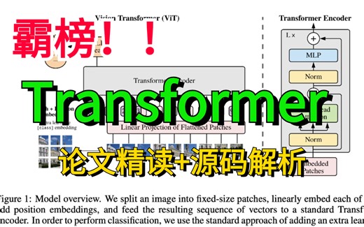 必看！【吃透！transformer！】可能是你看过最全最详细的transformer入门到实战教程！30集全！——（图像分类、图像分割、目标检测、机器学习）