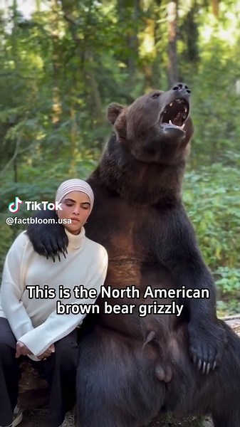 Some bears fish,others cuddle!#science #popular #usa #bear | bears