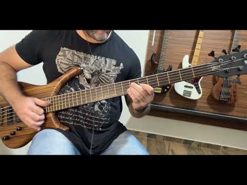 Fight Like a Brave - Red Hot Chili Peppers | Bass Cover (Warwick Infinity 🔥 Flea Tone!)