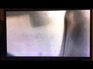 College (2008) Mooning scene