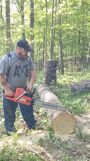 PORTED HUSQVARNA 372xp.. breaking in 🤙🏻😎🪓 #arboristlife #woodworking #treefelling #chainsaws #treeservice #logging #treecare #chainsaw #forestry #arblife #treeclimbing #tree #arboriculture #treeremoval #trees #stihl #treecutting #arborist #wood #logger #chainsawman #husqvarna | Robyn Yoder