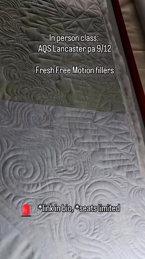 Excited for upcoming classes in Lancaster Pa! #laq #fmq #freemotionquilting #longarm#longarmquilting | Bold Notion Quilting